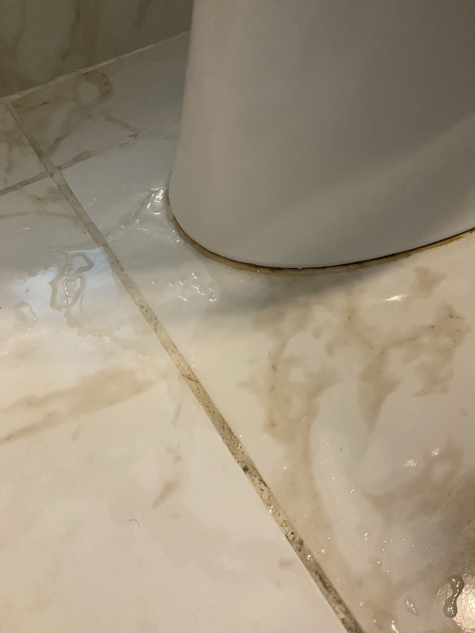 Water on tile around the base of a toilet