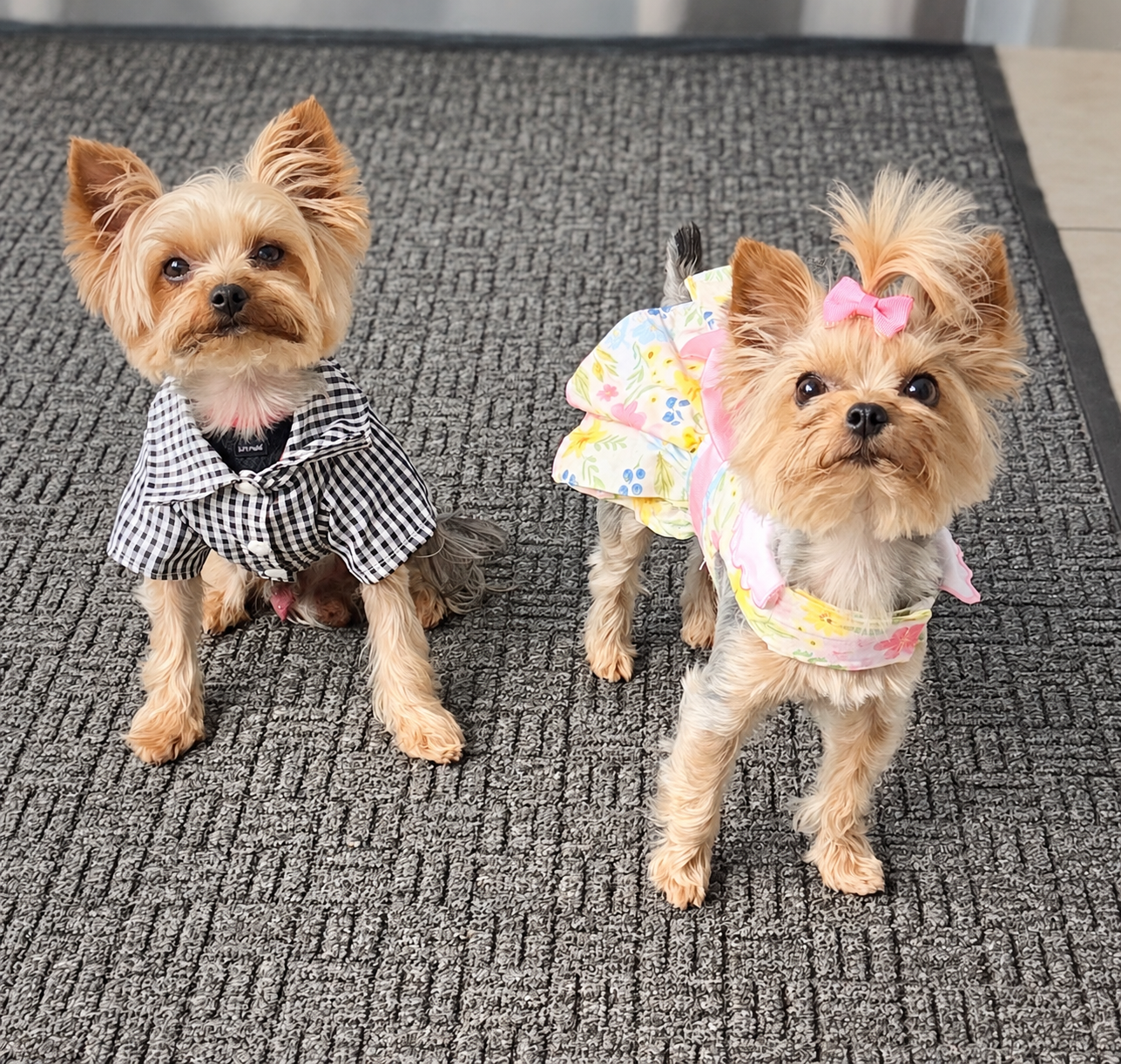 Mr. Topps in a checked shirt beside Lizzie in a floral dress and pink bow