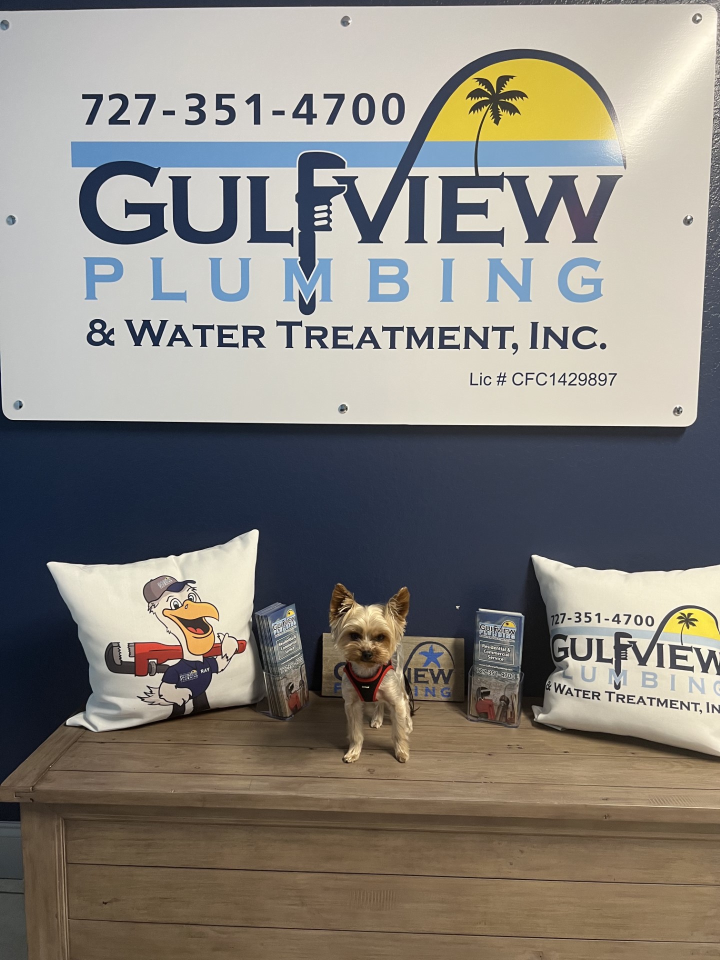 Mr. Topps between Gulfview pillows beneath the company sign